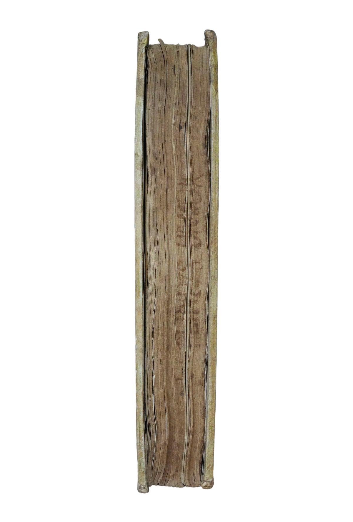 A Renaissance Encyclopaedia of the House: Grapaldi’s De partibus aedium, 1494