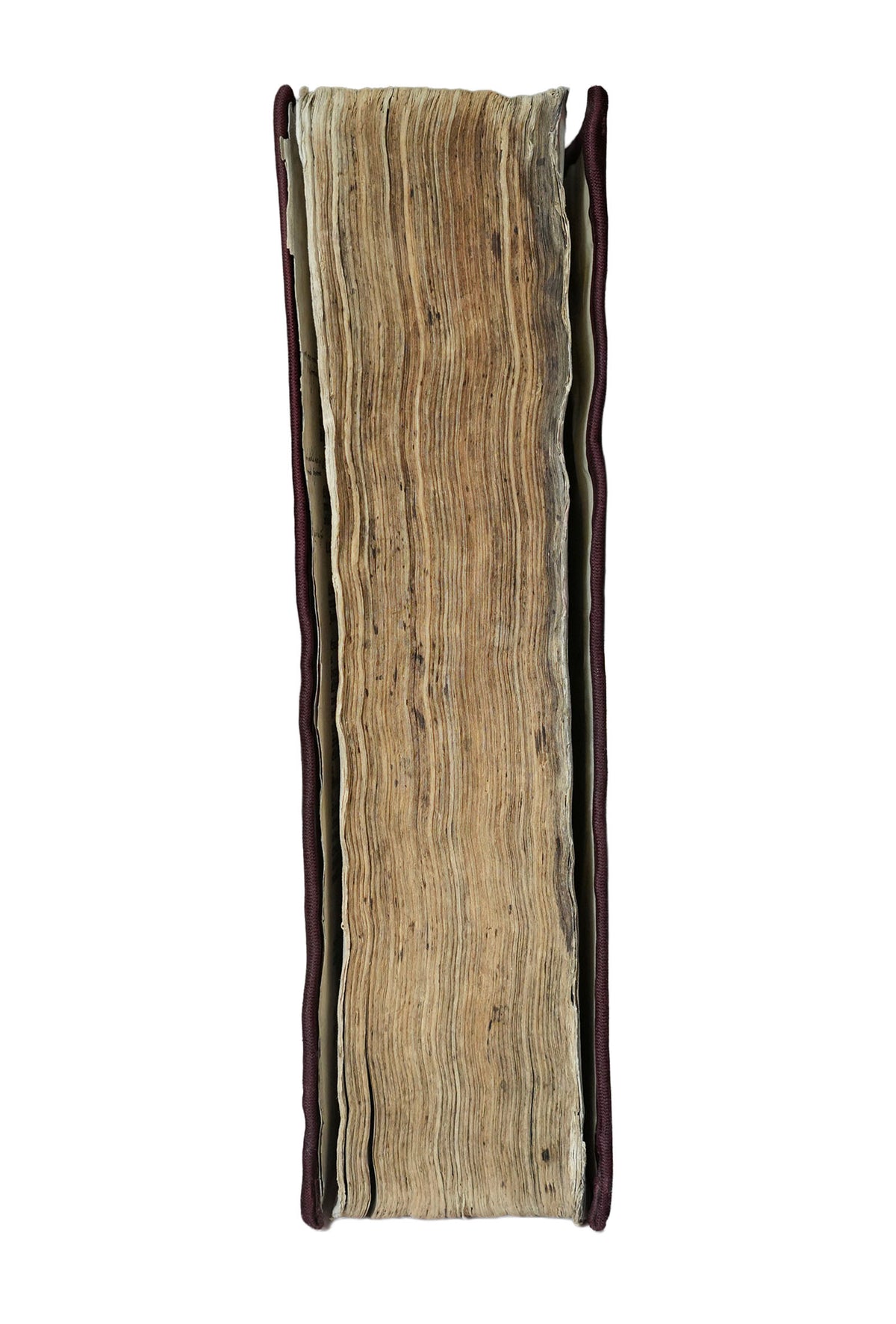 A Renaissance Bible owned by a priest who saved Jews during the Holocaust