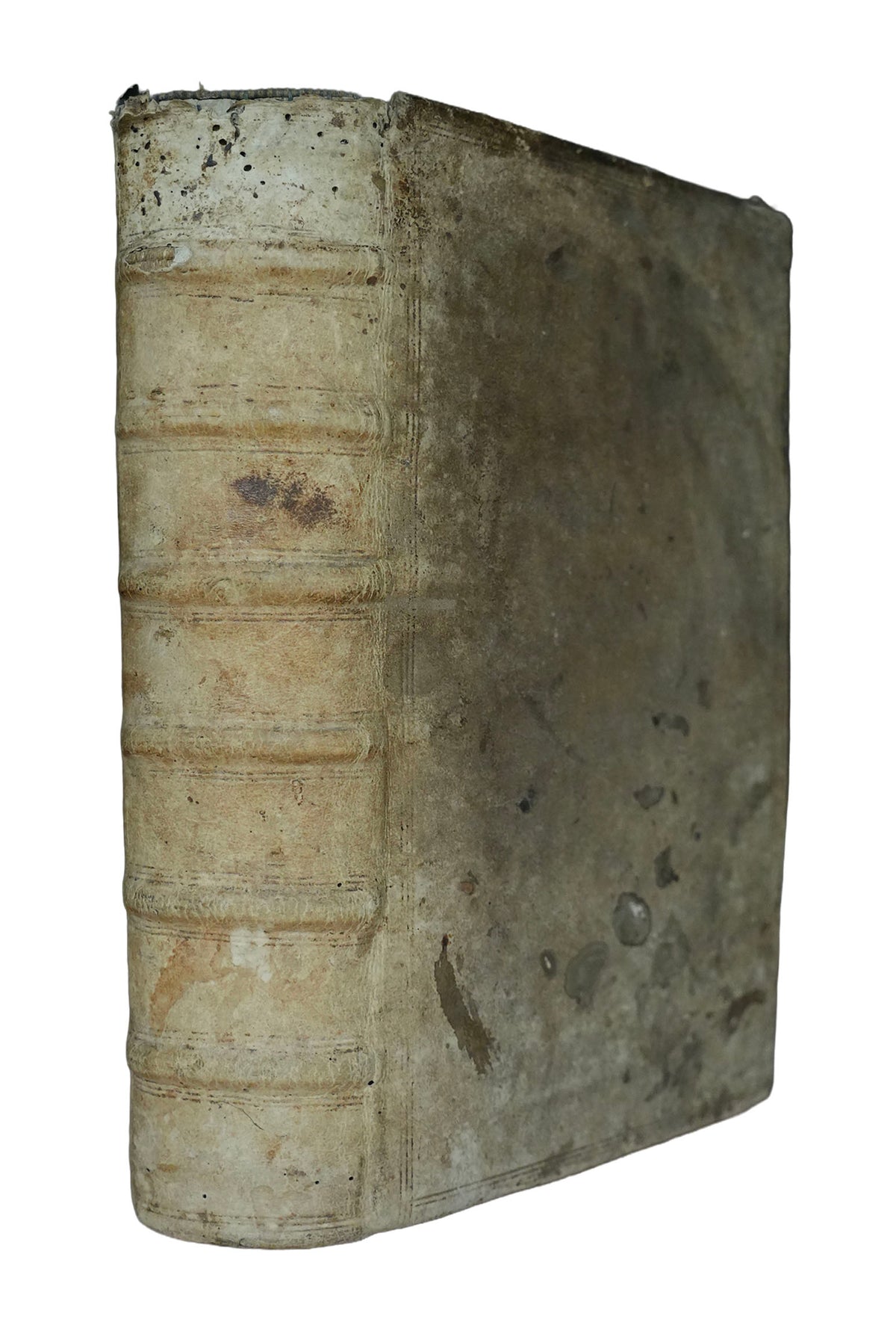 A 1541 Catholic Bible with Protestant Marginalia