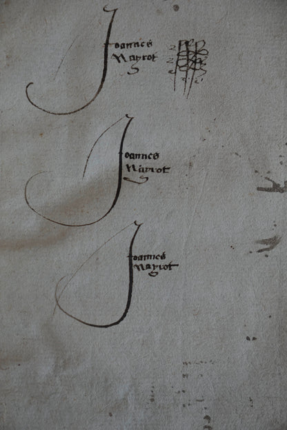 Between Erasmus and Estienne: The Important Greek New Testament of 1534