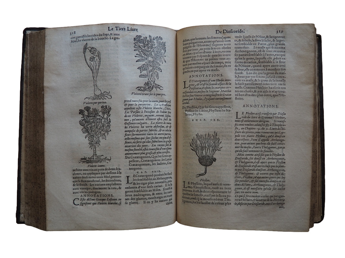 A 1580 Dioscorides Herbal Used by a Seventeenth-Century Parisian Apothecary