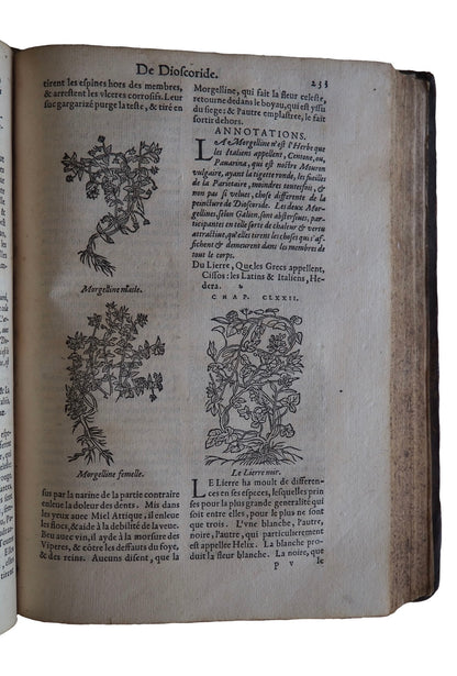 A 1580 Dioscorides Herbal Used by a Seventeenth-Century Parisian Apothecary